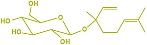 Lynalyl glycoside molecule